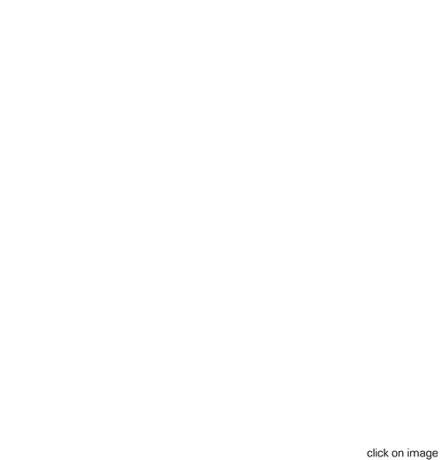 click on image